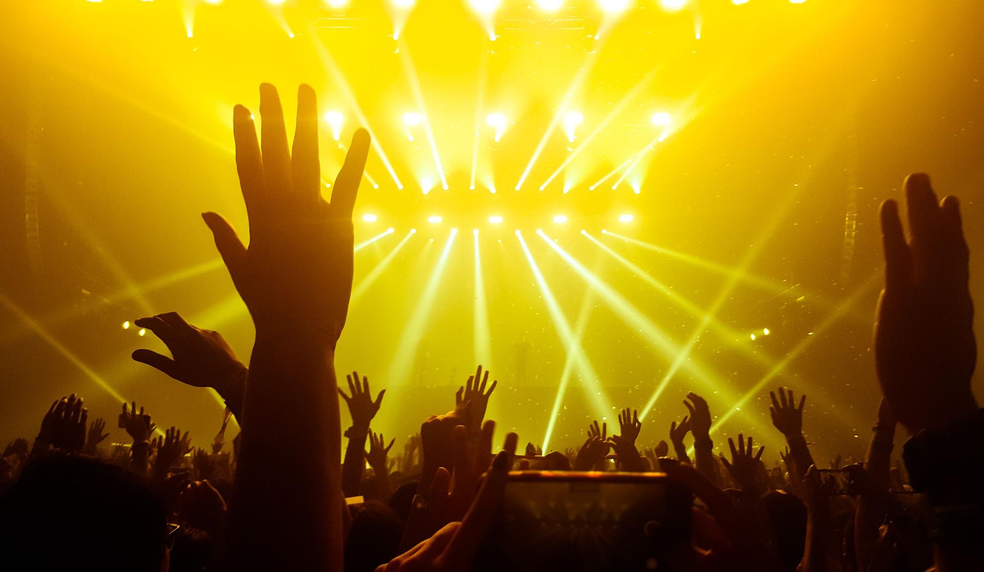 Silhouette Crowd At Music Concert In Night